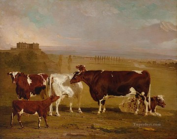  Cattle Art Painting - cattle 13